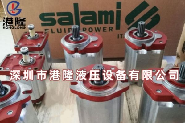 意大利Salami齒輪泵的安裝尺寸是多少？